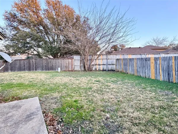a view of a backyard with a large tree and wooden fence