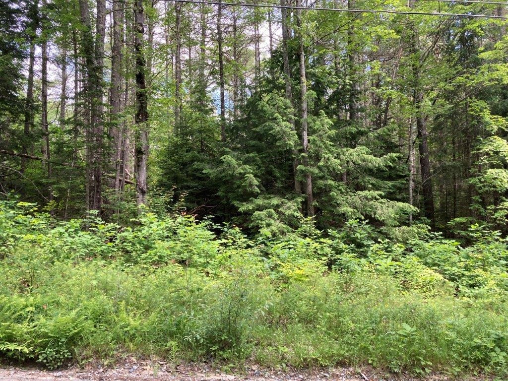 Corno Road Canaan, NH 03741 - Photo 12 of 32