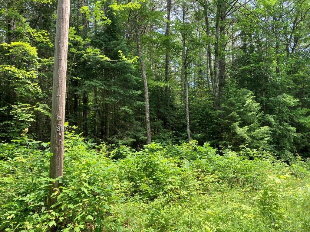 Corno Road Canaan, NH 03741 - Photo 14 of 32