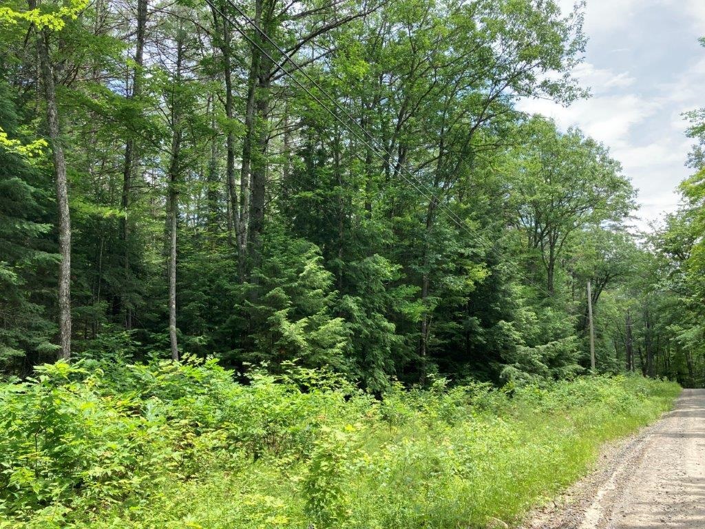 Corno Road Canaan, NH 03741 - Photo 15 of 32