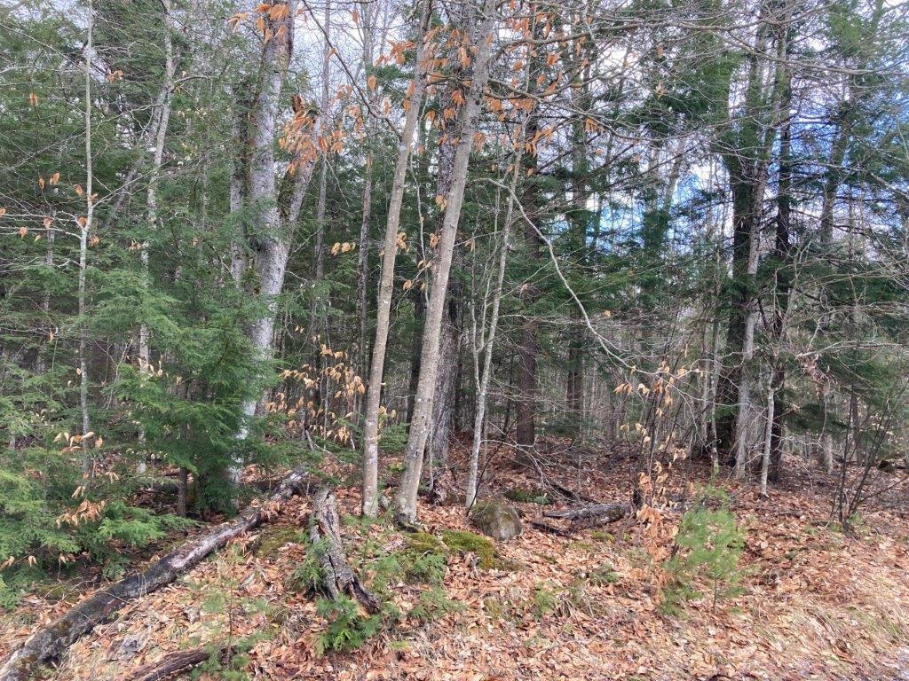 Corno Road Canaan, NH 03741 - Photo 28 of 32