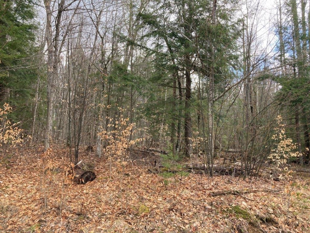 Corno Road Canaan, NH 03741 - Photo 29 of 32