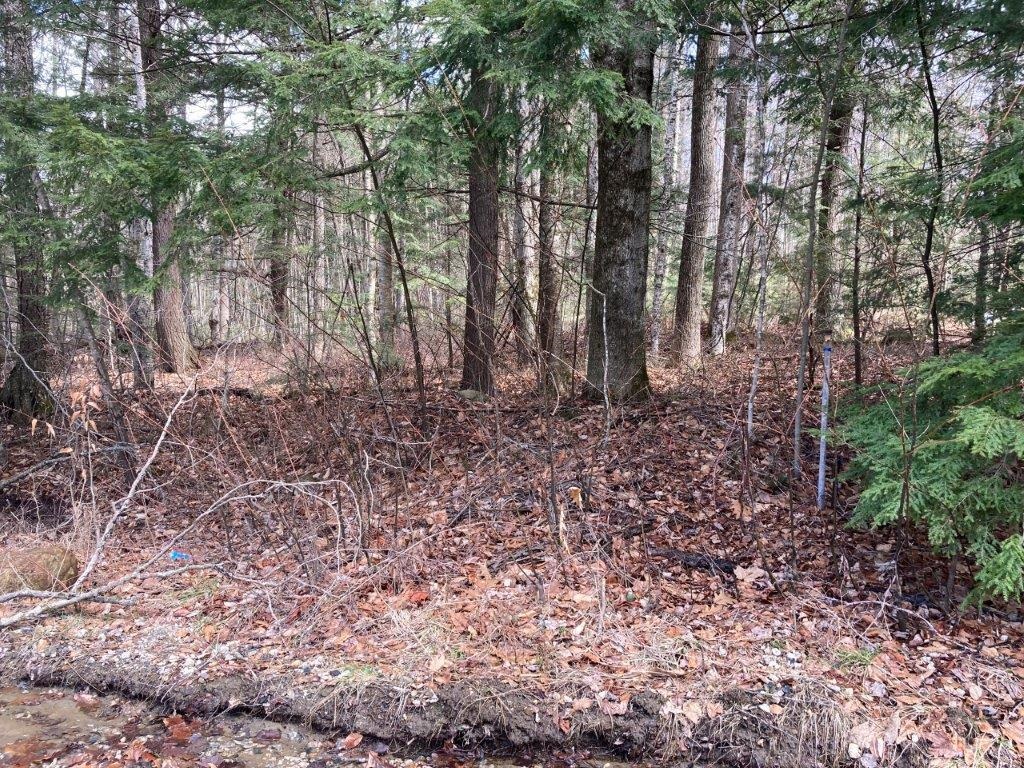 Corno Road Canaan, NH 03741 - Photo 30 of 32