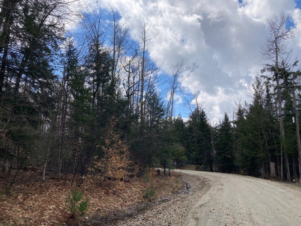 Corno Road Canaan, NH 03741 - Photo 3 of 32