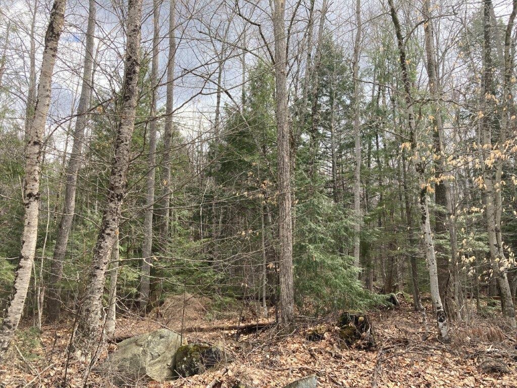 Corno Road Canaan, NH 03741 - Photo 31 of 32