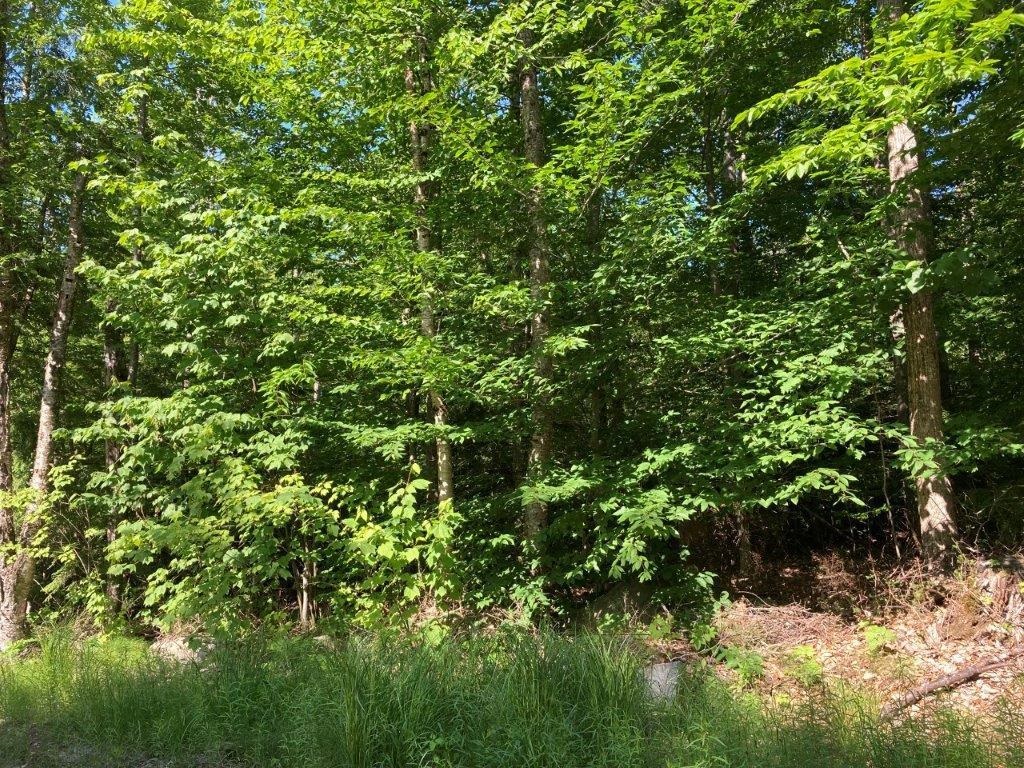 Corno Road Canaan, NH 03741 - Photo 9 of 32