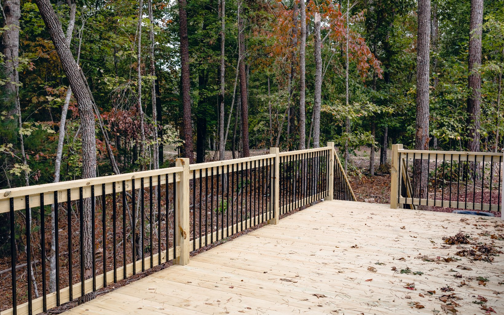 Alamo Trail Morganton, GA 30560 - Photo 11 of 50 Additional View