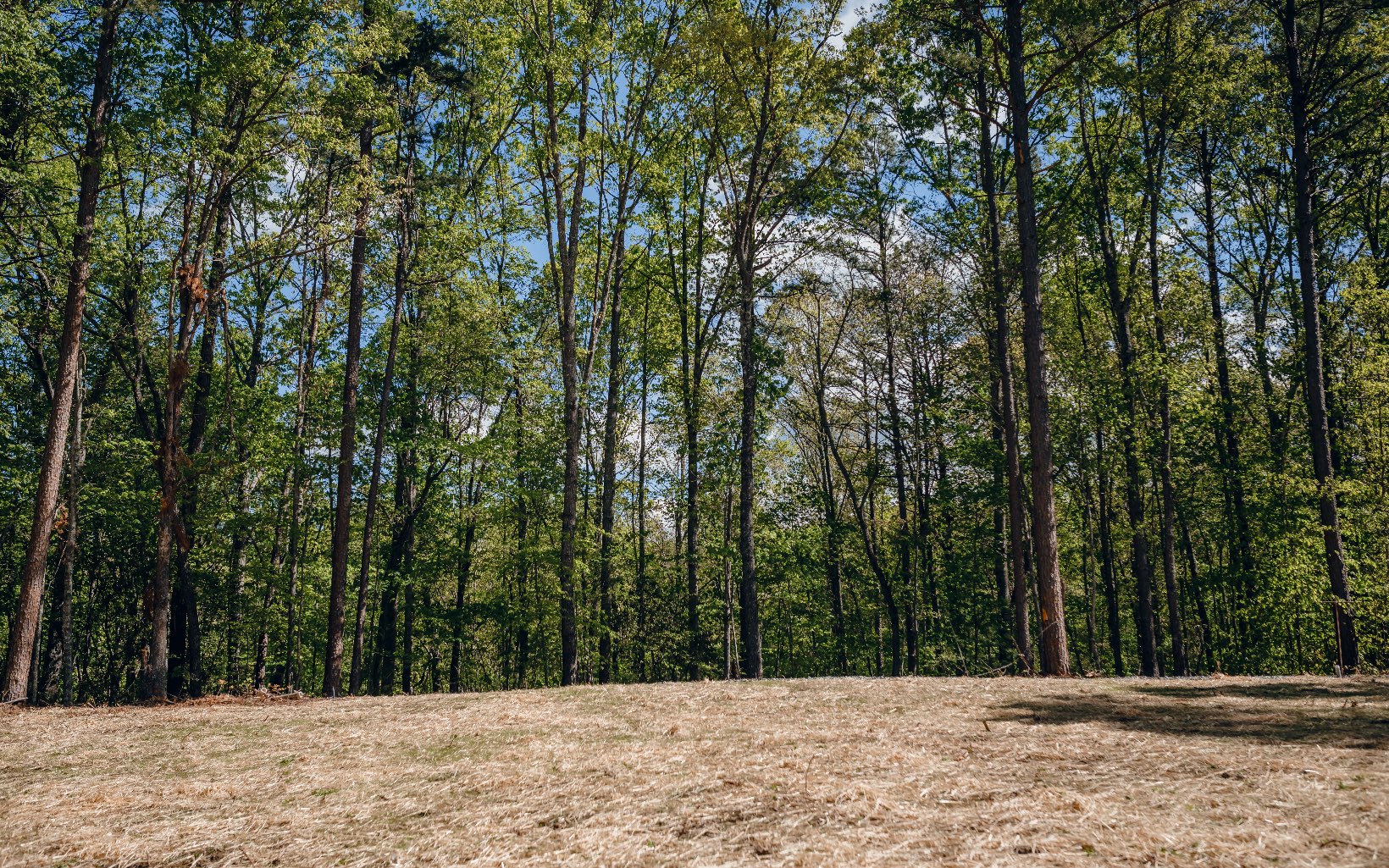 Alamo Trail Morganton, GA 30560 - Photo 18 of 50 Additional View