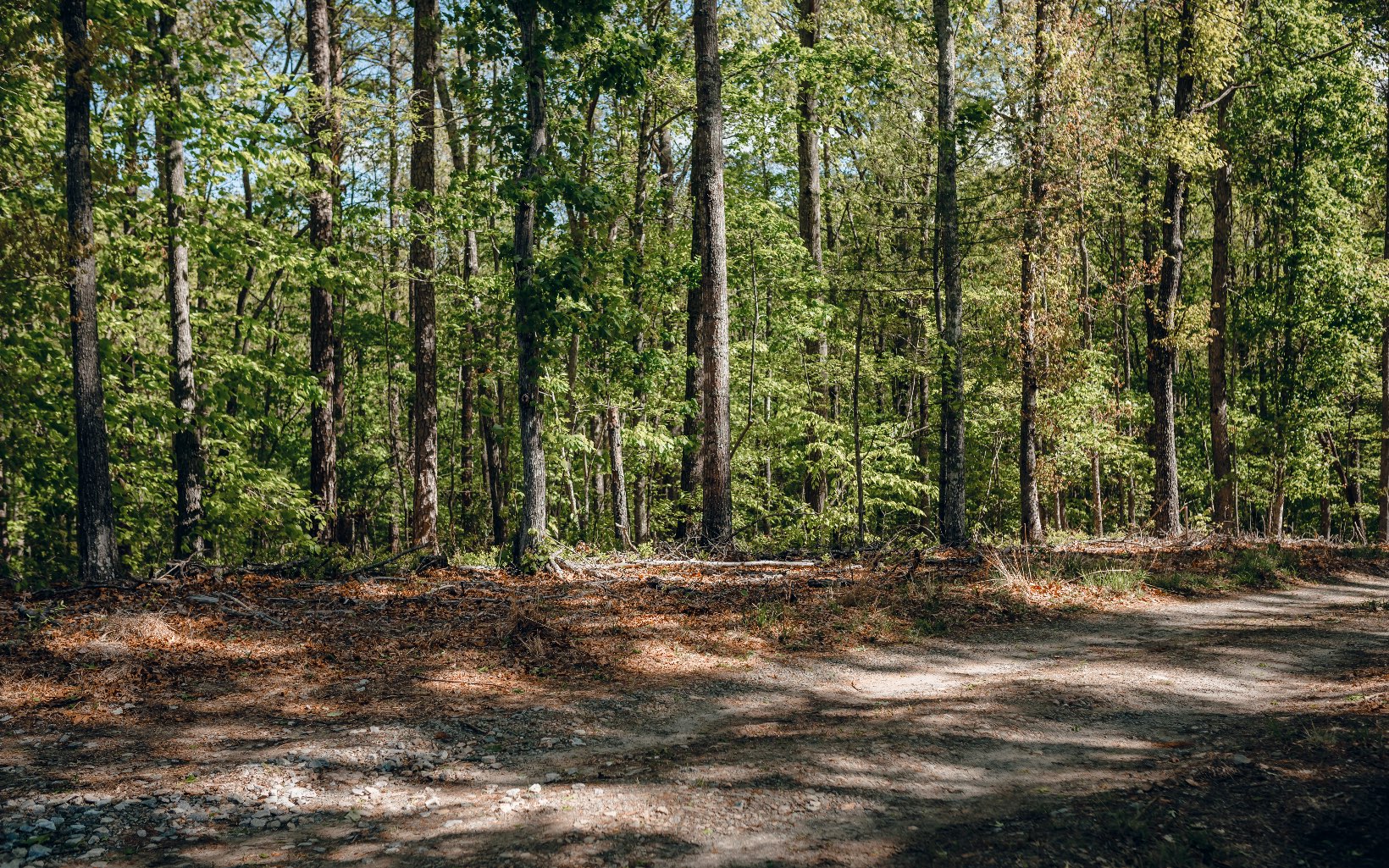 Alamo Trail Morganton, GA 30560 - Photo 19 of 50 Additional View