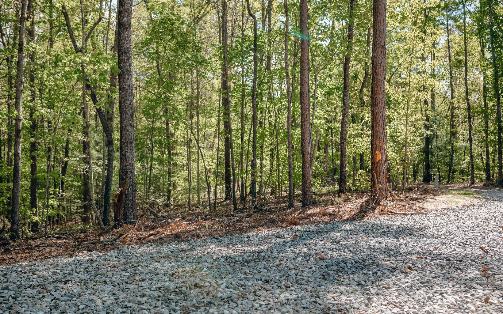 Alamo Trail Morganton, GA 30560 - Photo 21 of 50 Additional View