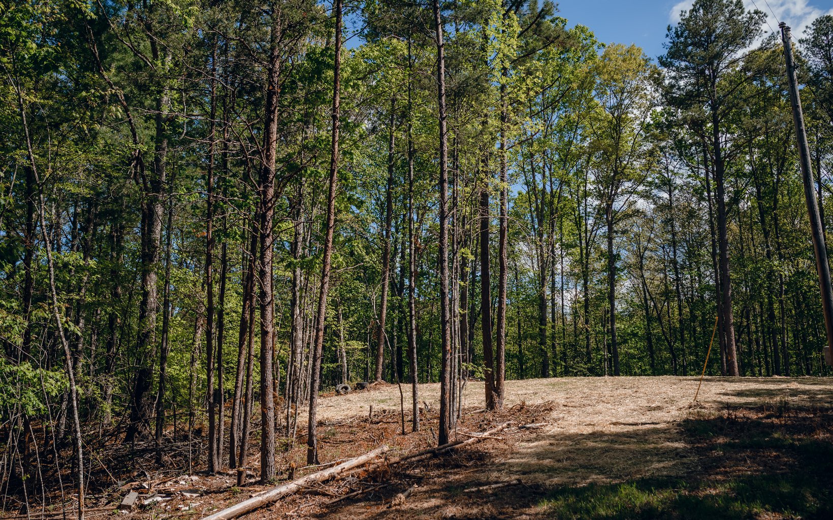 Alamo Trail Morganton, GA 30560 - Photo 23 of 50 Additional View