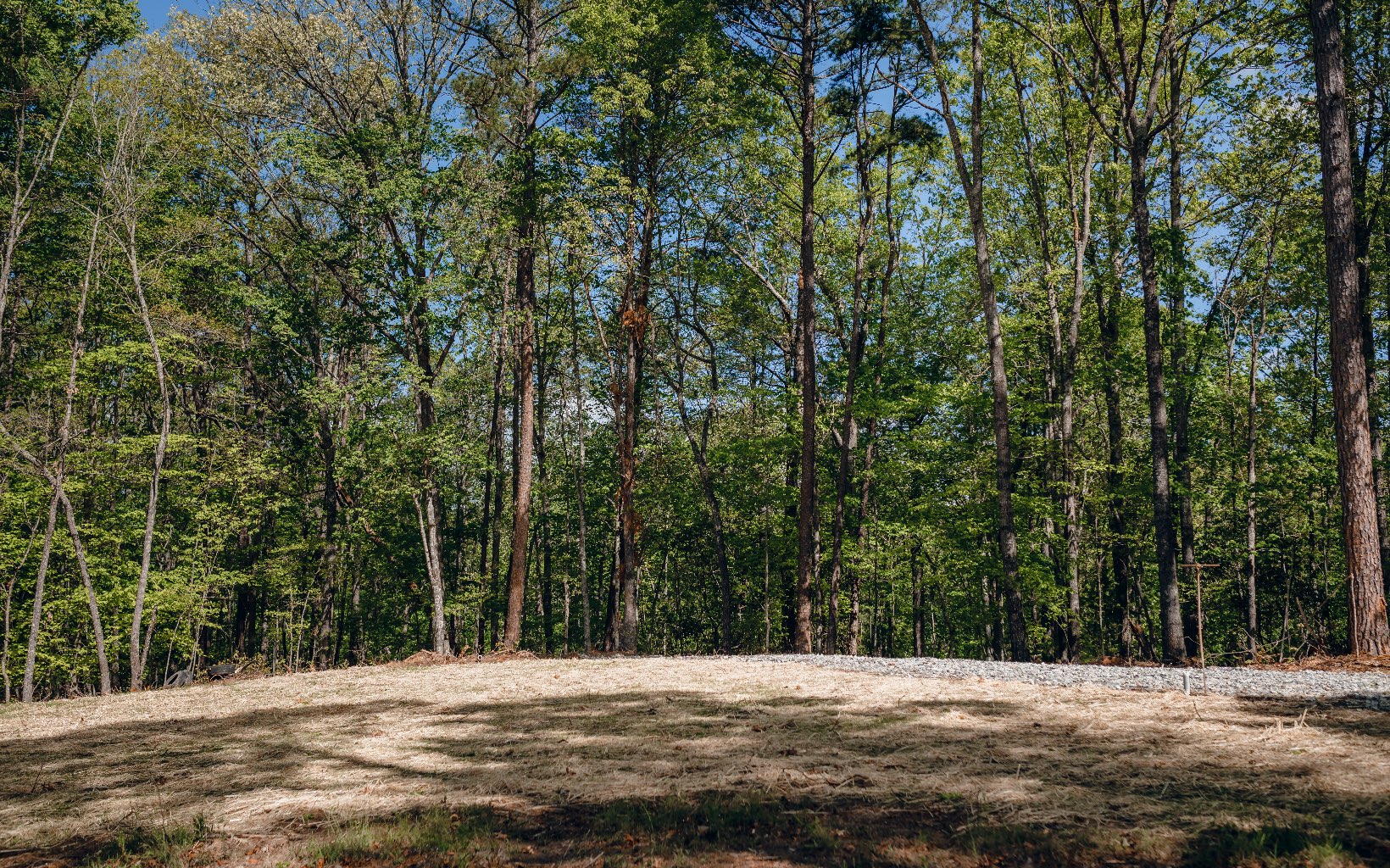 Alamo Trail Morganton, GA 30560 - Photo 24 of 50 Additional View