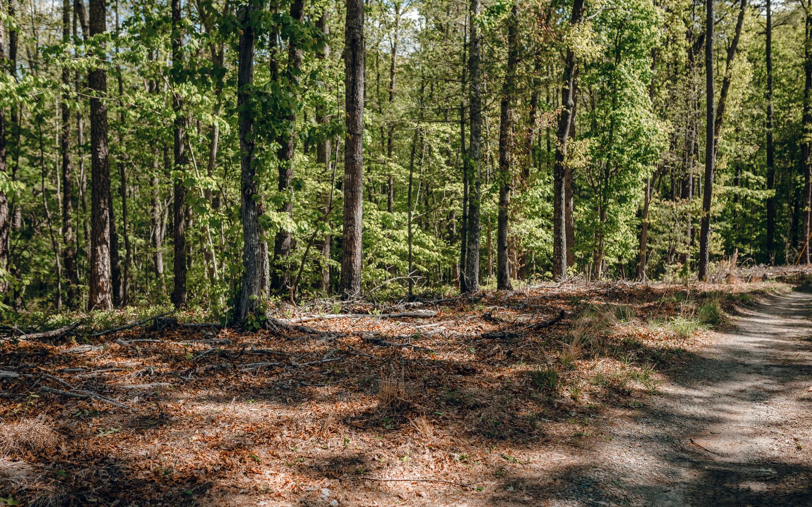 Alamo Trail Morganton, GA 30560 - Photo 25 of 50 Additional View