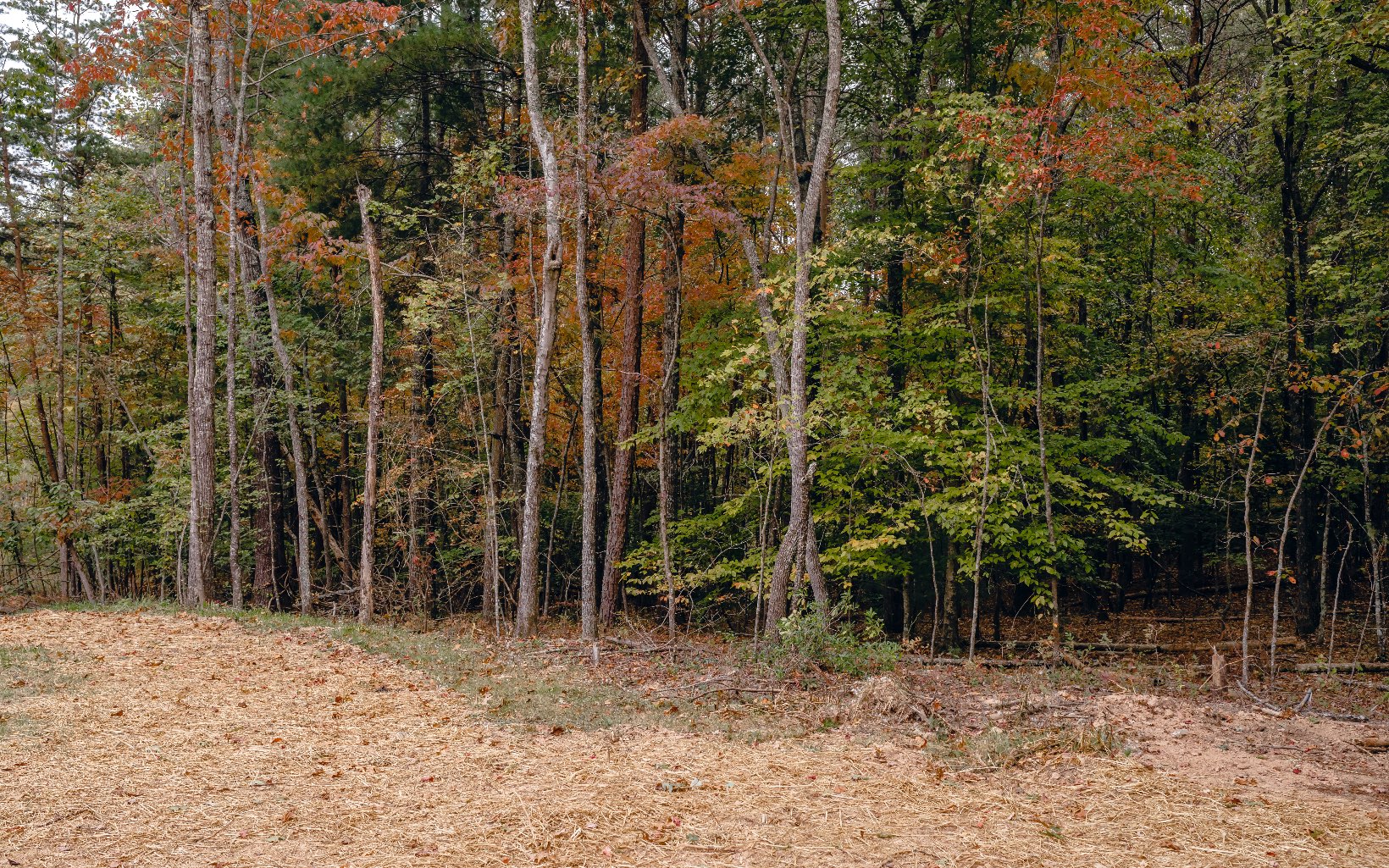 Alamo Trail Morganton, GA 30560 - Photo 31 of 50 Additional View