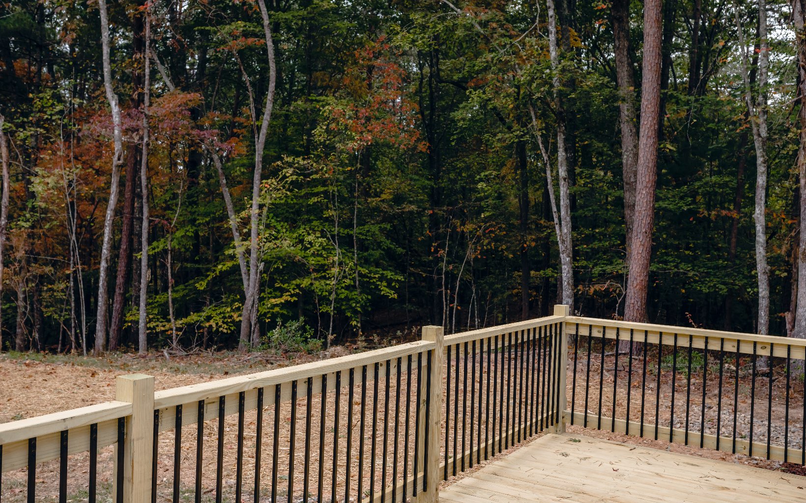 Alamo Trail Morganton, GA 30560 - Photo 7 of 50 Additional View