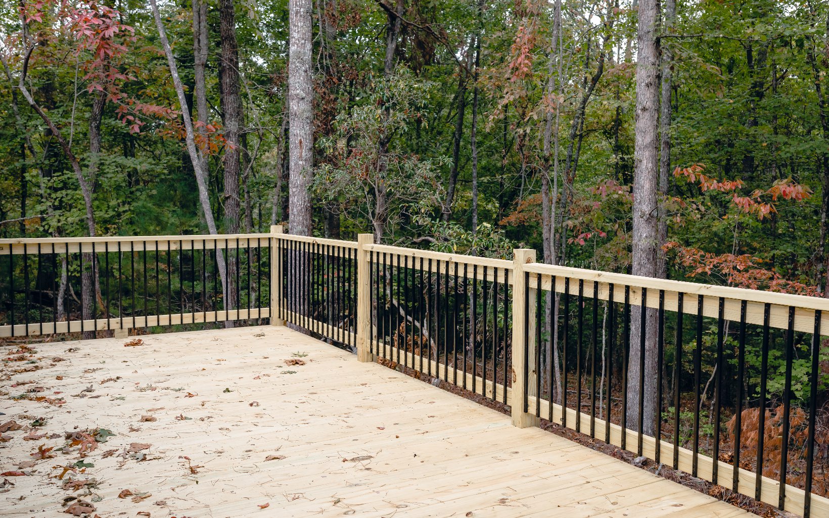 Alamo Trail Morganton, GA 30560 - Photo 10 of 50 Additional View