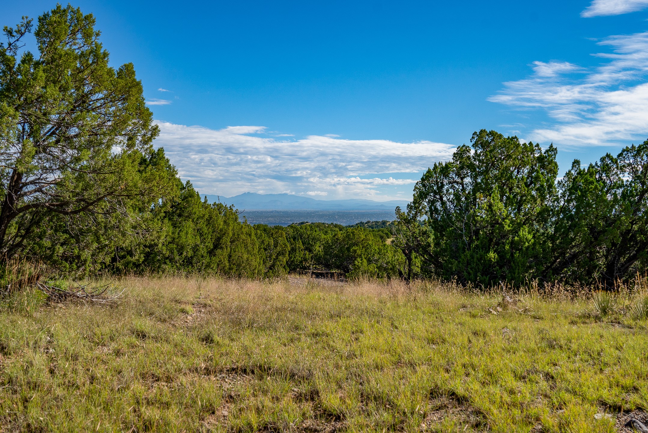 95 Grenfell Ranch Road Cerrillos, NM 87010 - Photo 24 of 47