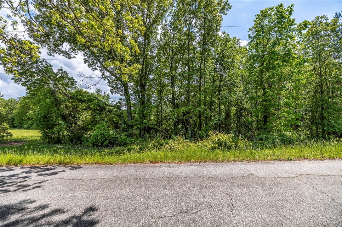 Lot 2 Generostee Church Road Starr, SC 29684 - Photo 4 of 13 Gallery Image 4