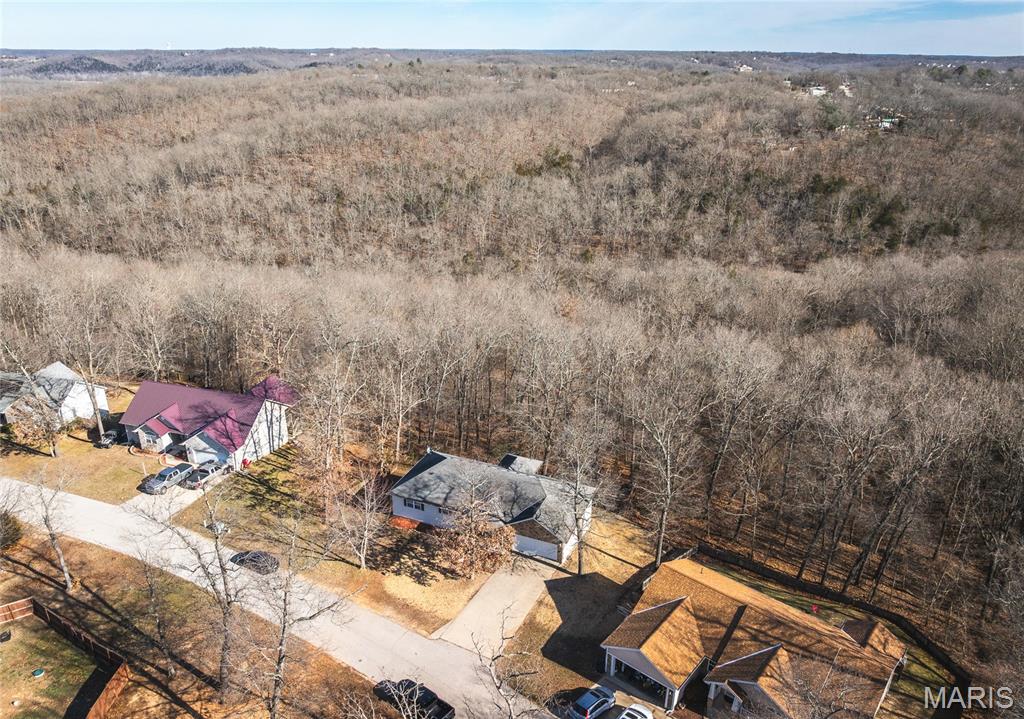 19420 Laney Road Waynesville, MO 65583 - Photo 48 of 53