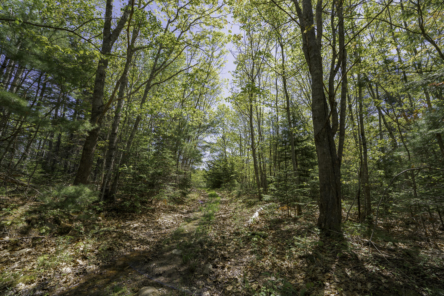 2208 Friendship Road Waldoboro, ME 04572 - Photo 66 of 76 Woods Road
