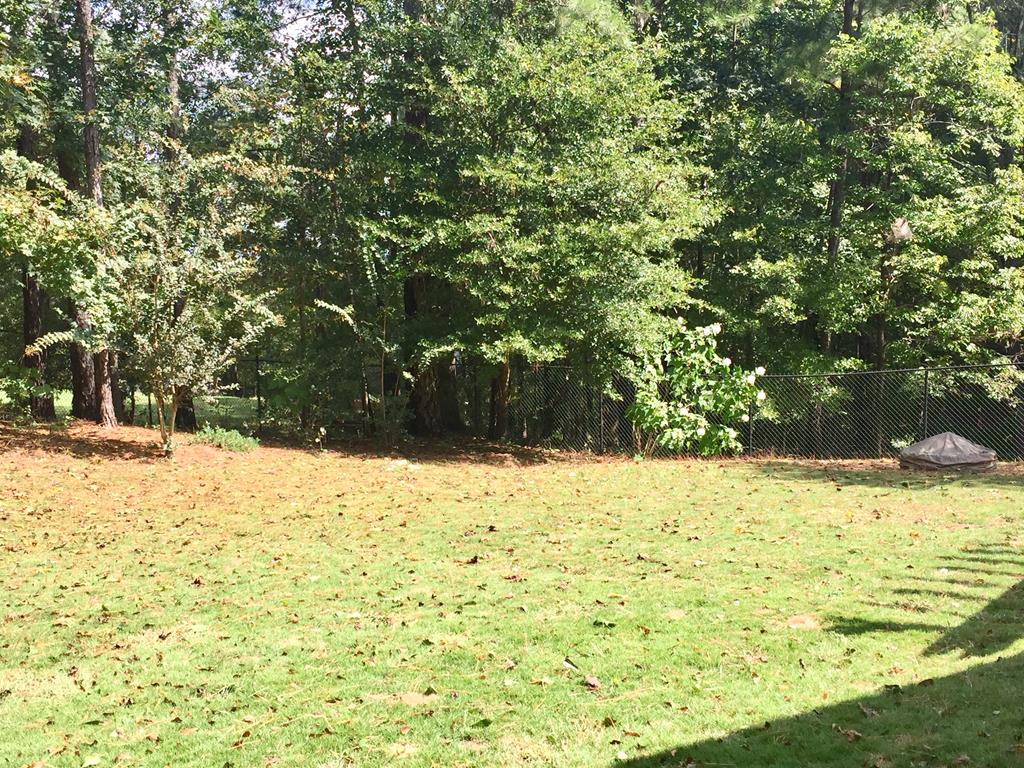 183 Buckeye Loop Midland, GA 31820 - Photo 28 of 34