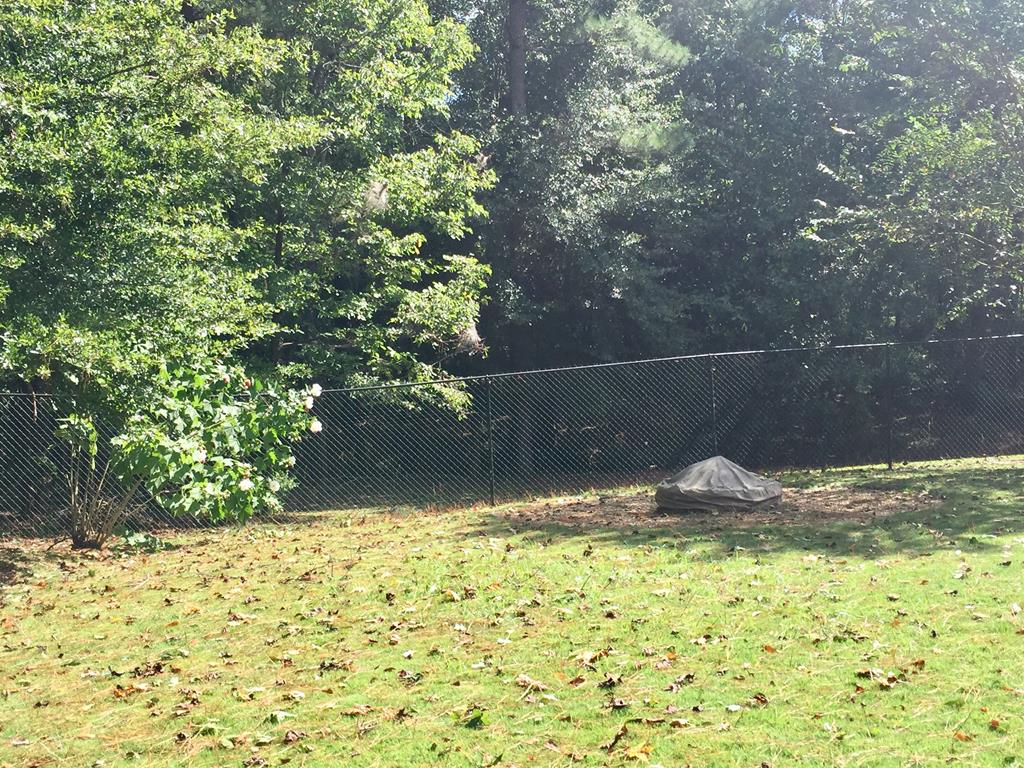 183 Buckeye Loop Midland, GA 31820 - Photo 29 of 34