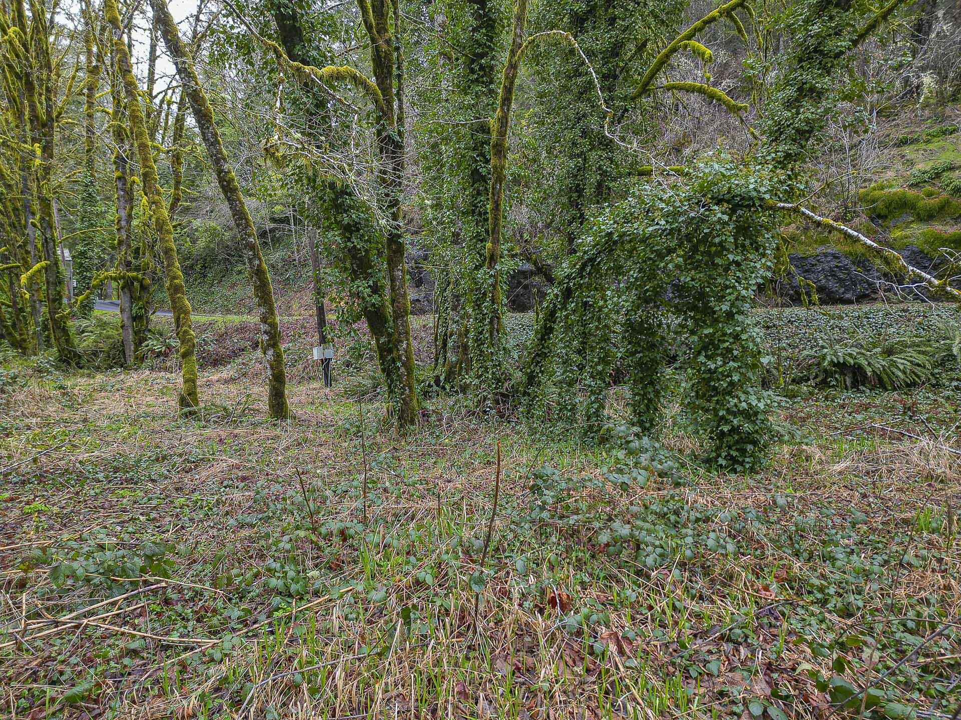 400 North Slick Rock Creek Road Otis, OR 97368 - Photo 4 of 20 Lot to Build your Dream Home!