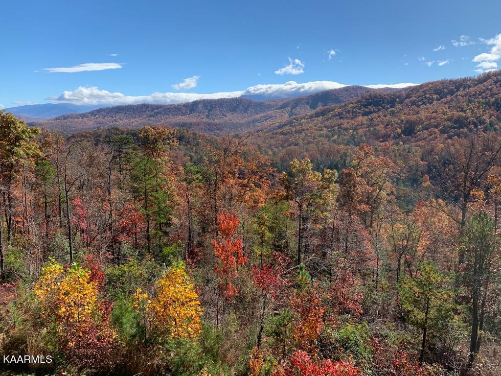 1857 Pinestand Rdg Way Pigeon Forge, TN 37862 - Photo 40 of 49 a view of a city with mountains in the background