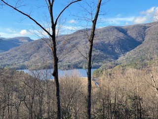 244 River Bluff Road Cleveland, SC 29635 - Photo 16 of 38