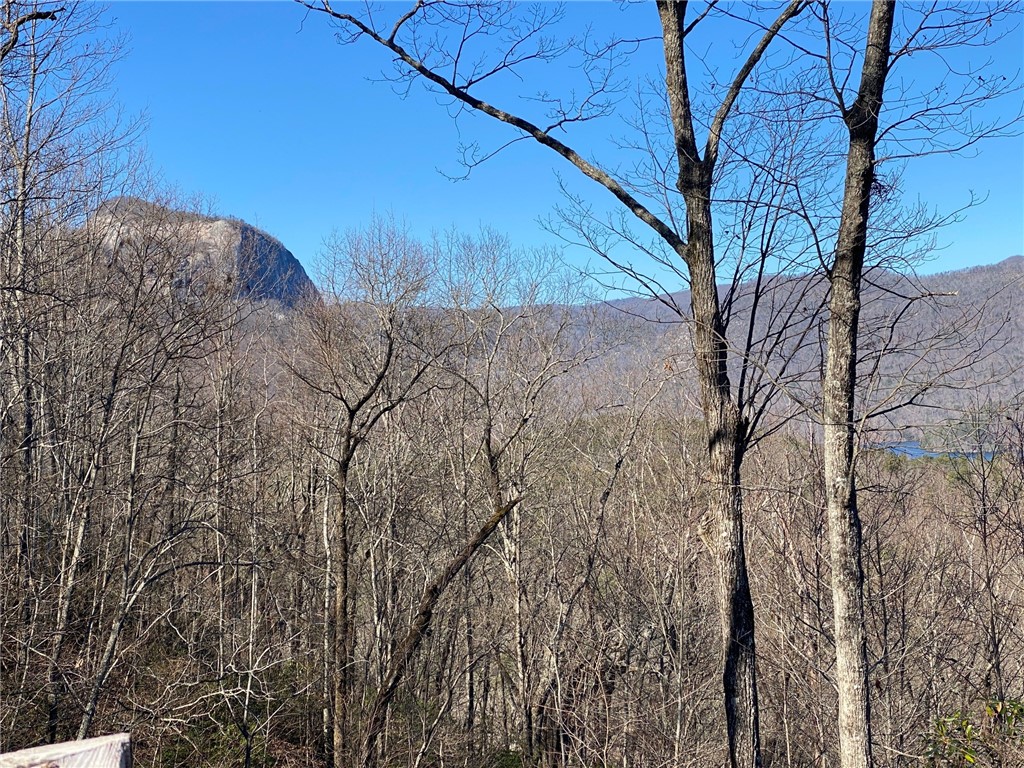 244 River Bluff Road Cleveland, SC 29635 - Photo 18 of 38