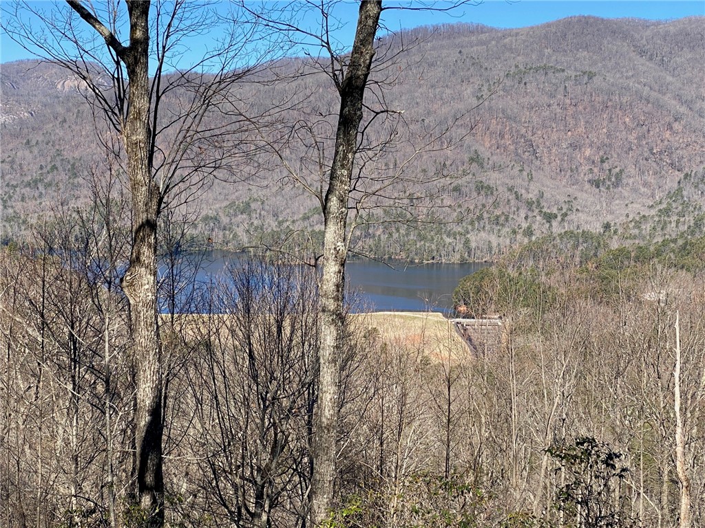 244 River Bluff Road Cleveland, SC 29635 - Photo 21 of 38