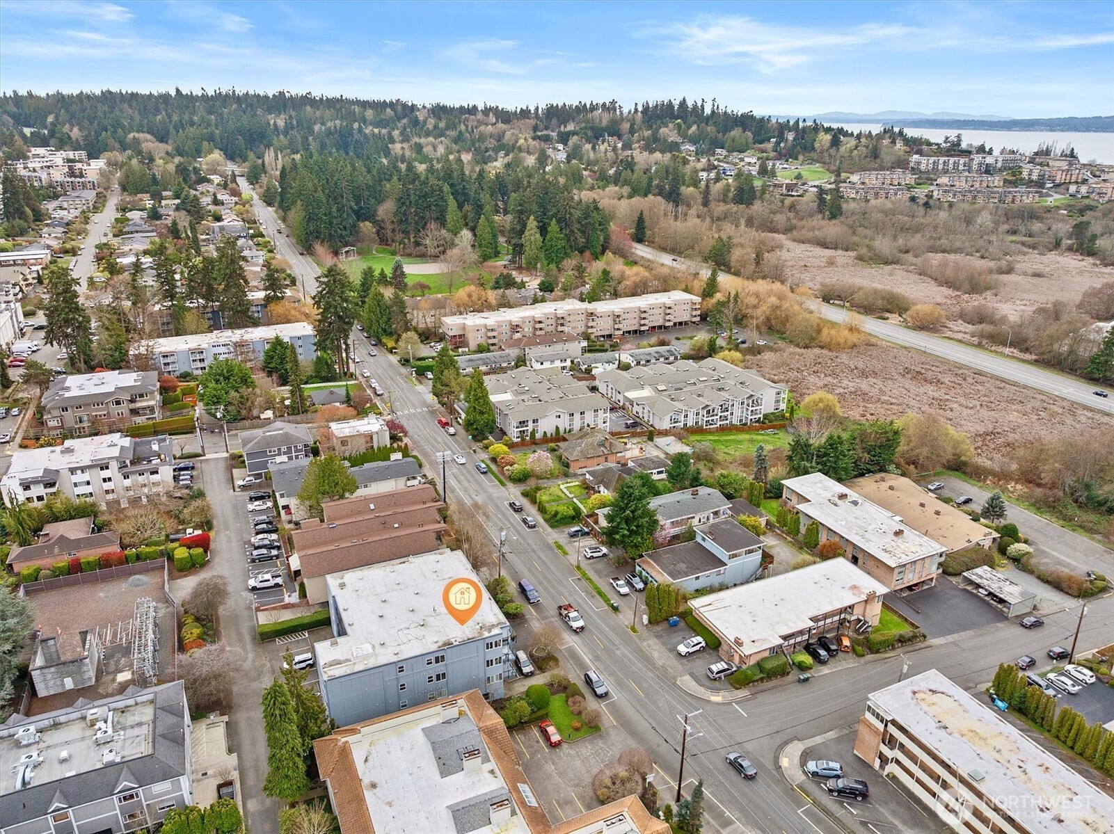 317 3rd Avenue South, Unit 201 Edmonds, WA 98020 - Photo 36 of 39 an aerial view of a city with lots of residential buildings