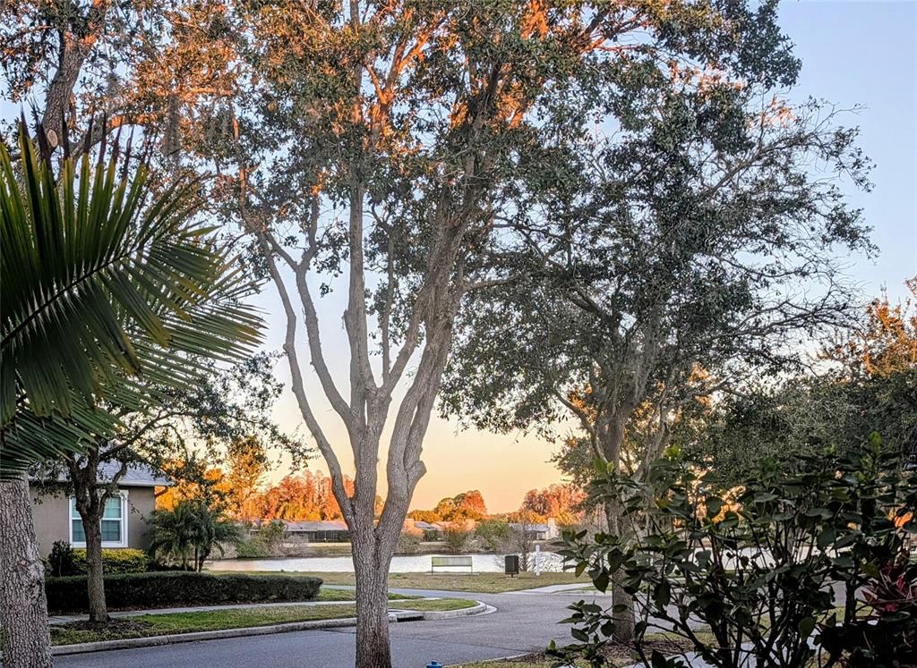 3618 Buffett Street New Port Richey, FL 34655 - Photo 6 of 62 Gallery Image 6