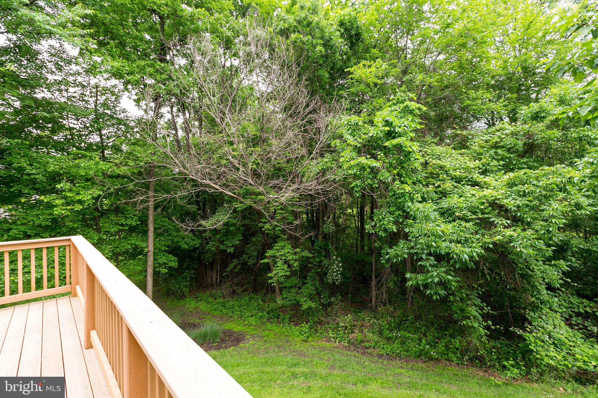 2012 Masters Drive Baltimore, MD 21209 - Photo 36 of 40