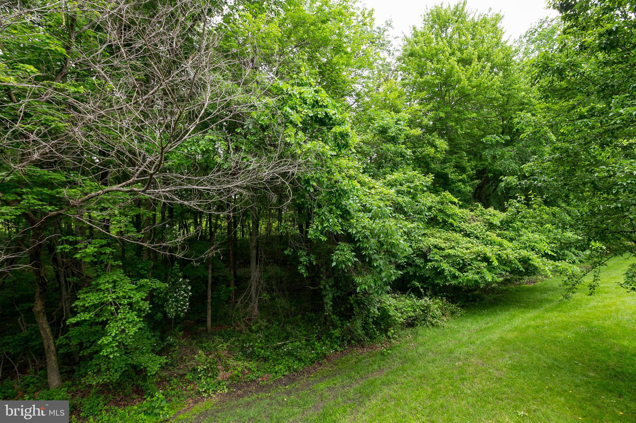 2012 Masters Drive Baltimore, MD 21209 - Photo 37 of 40