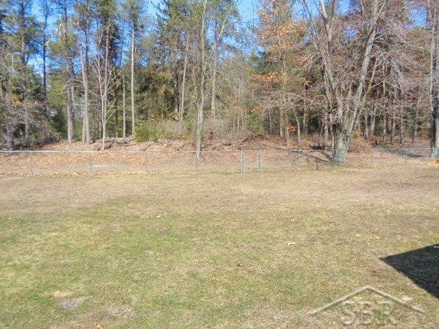 11590 Andrews Road St. Charles, MI 48655 - Photo 15 of 15 Back Yard