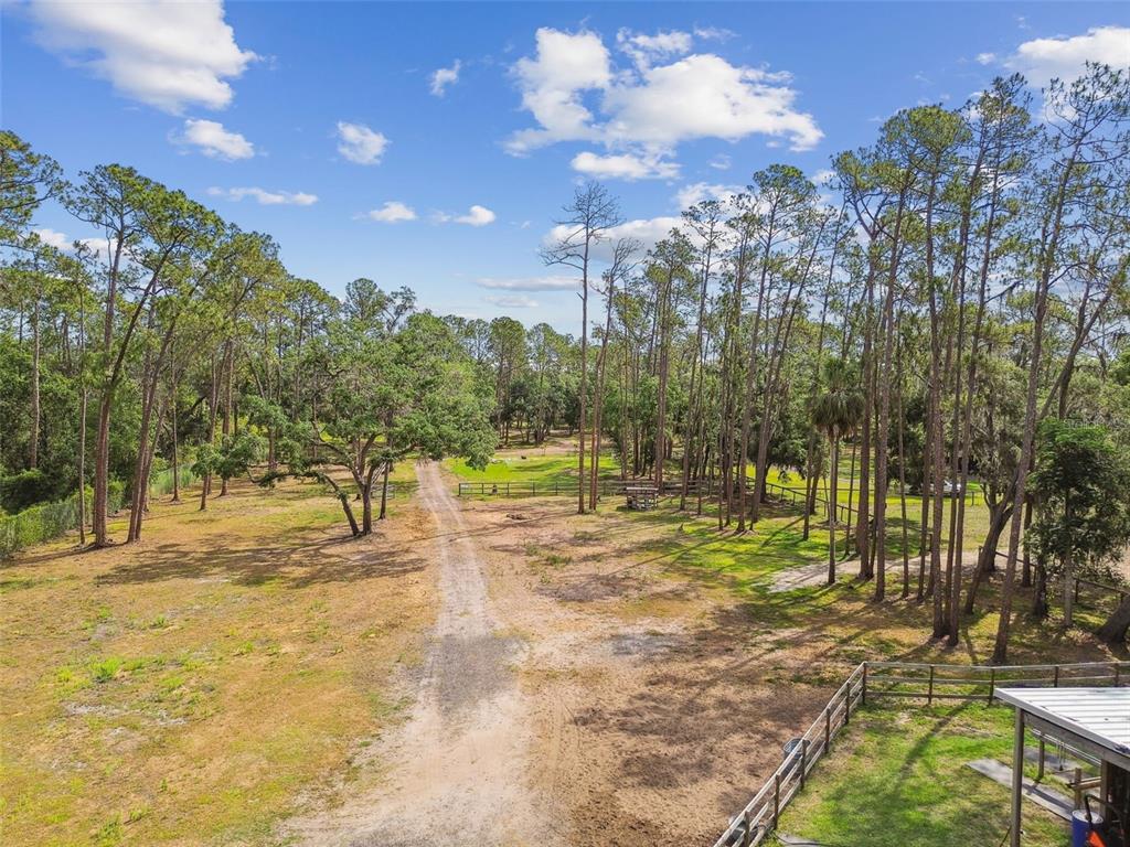 2853 Saffold Road Wimauma, FL 33598 - Photo 62 of 62 a view of a yard with trees
