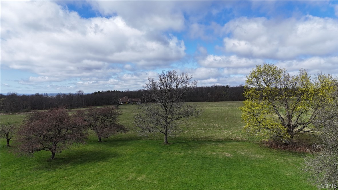 210 Mt Pleasant Road Dryden, NY 14850 - Photo 24 of 33 Back Yard