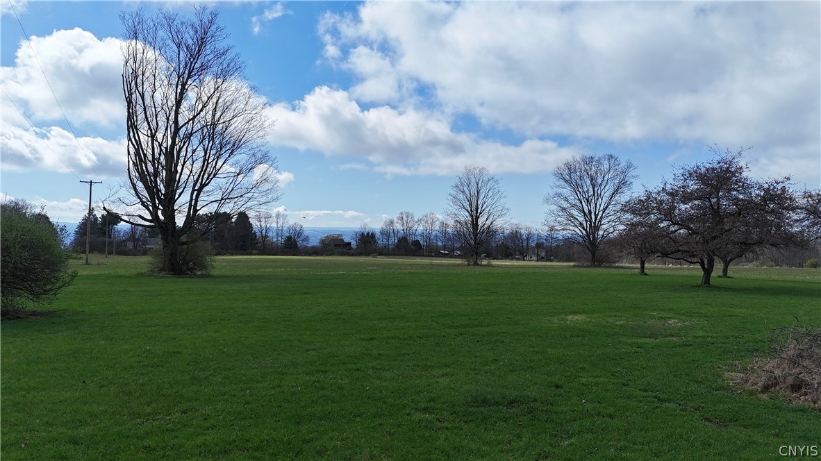 210 Mt Pleasant Road Dryden, NY 14850 - Photo 33 of 33 What a Yard!
