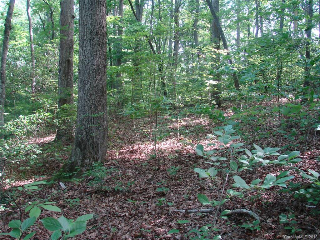 Tbd North Beaverdam Road Candler, NC 28715 - Photo 2 of 4