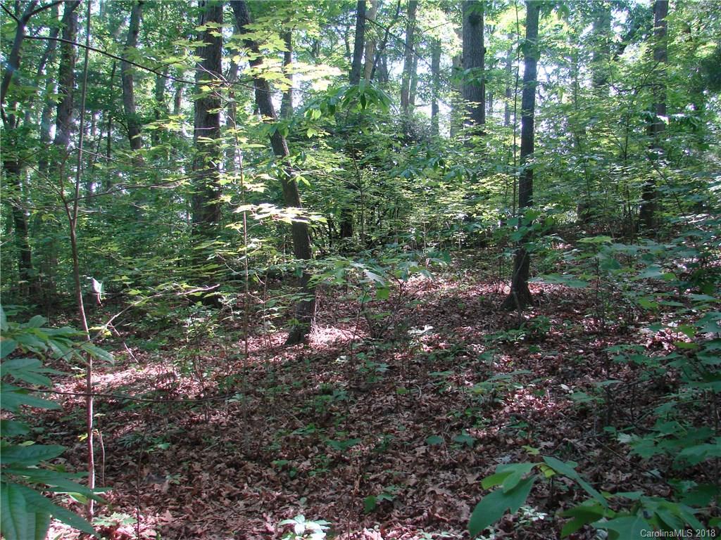Tbd North Beaverdam Road Candler, NC 28715 - Photo 3 of 4