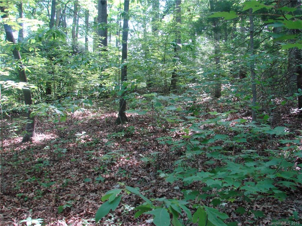 Tbd North Beaverdam Road Candler, NC 28715 - Photo 4 of 4