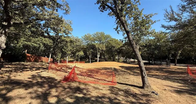 a view of a yard with plants and trees