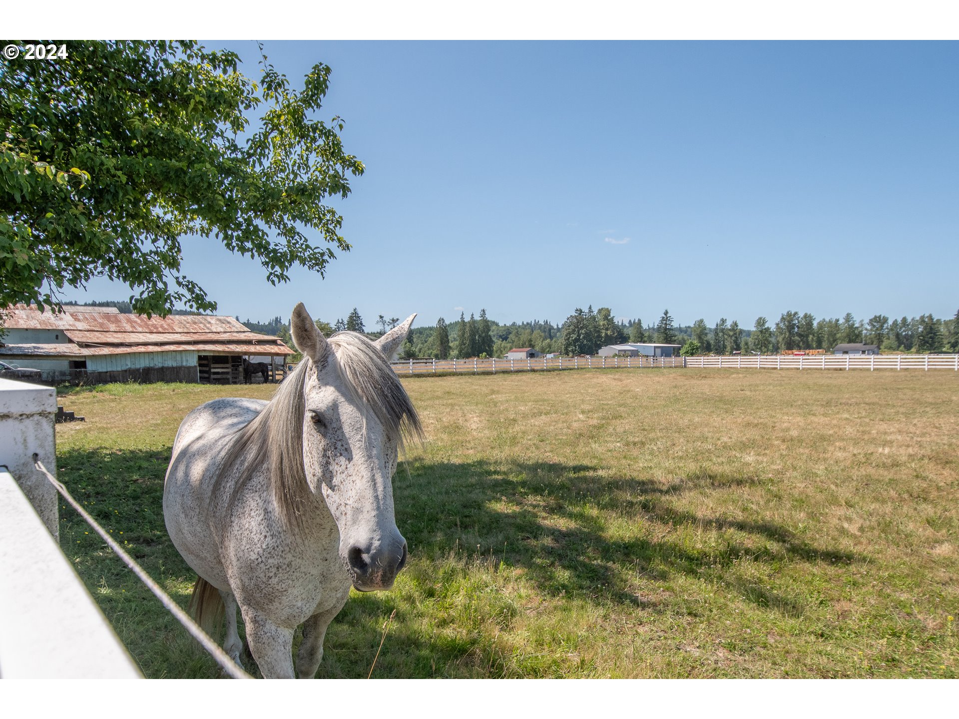 3527 Pleasant Hill Road Kelso, WA 98626 - Photo 29 of 47 Gallery Image 29