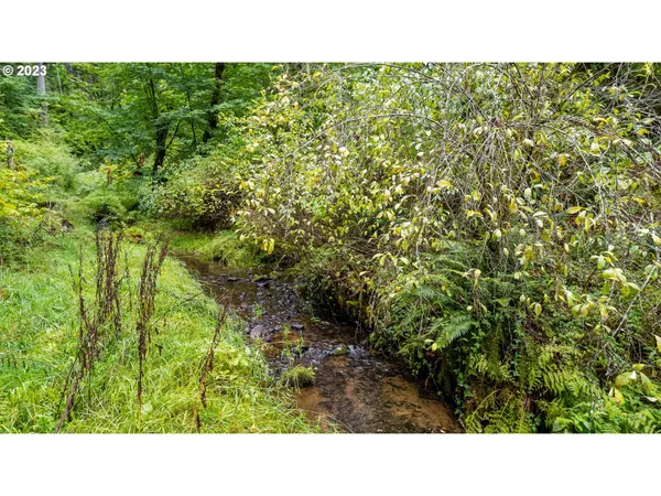 a black and white photo of a park
