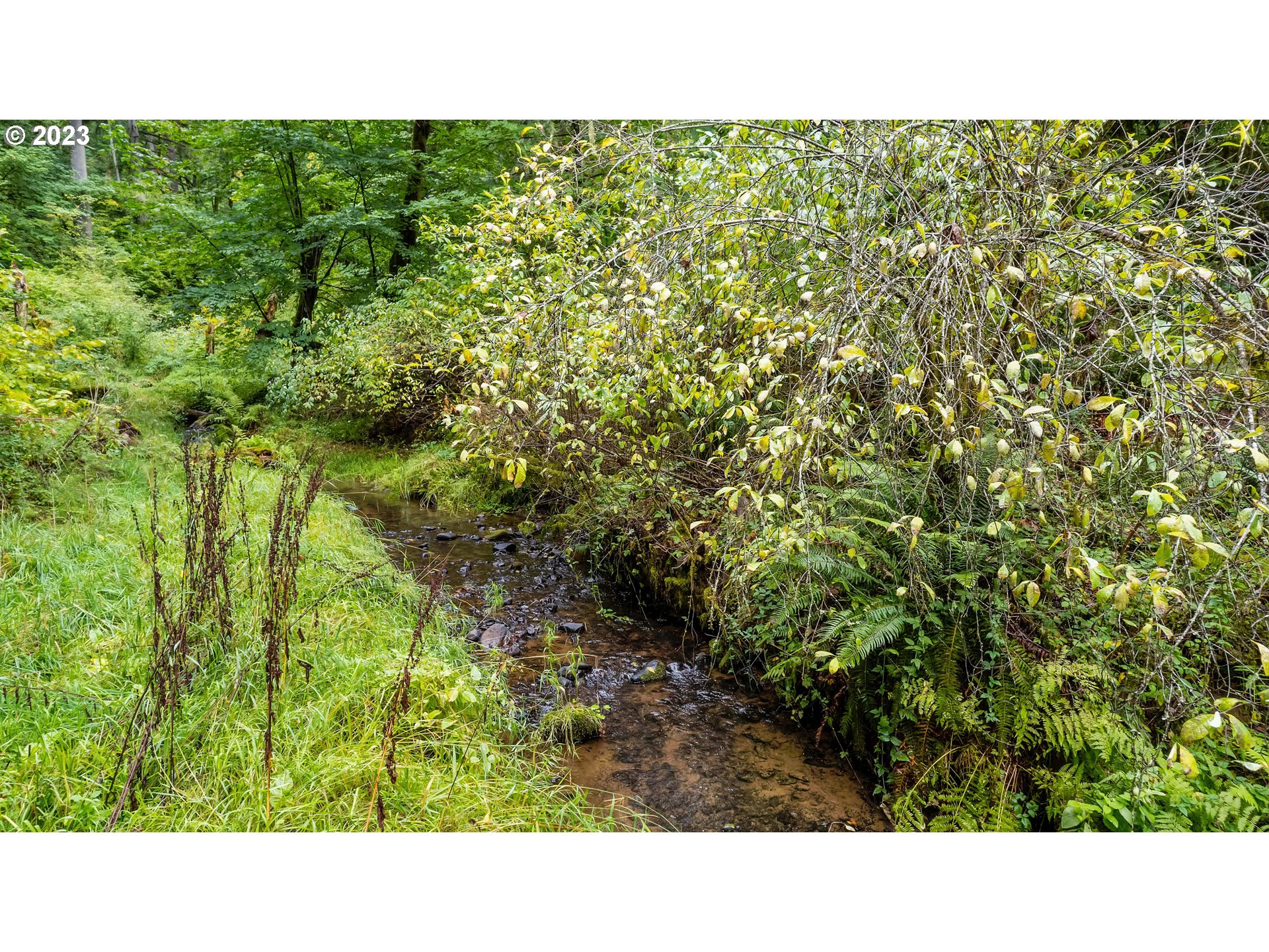 0 Northwest Green Mountain Road, Unit 1 Banks, OR 97106 - Photo 19 of 26