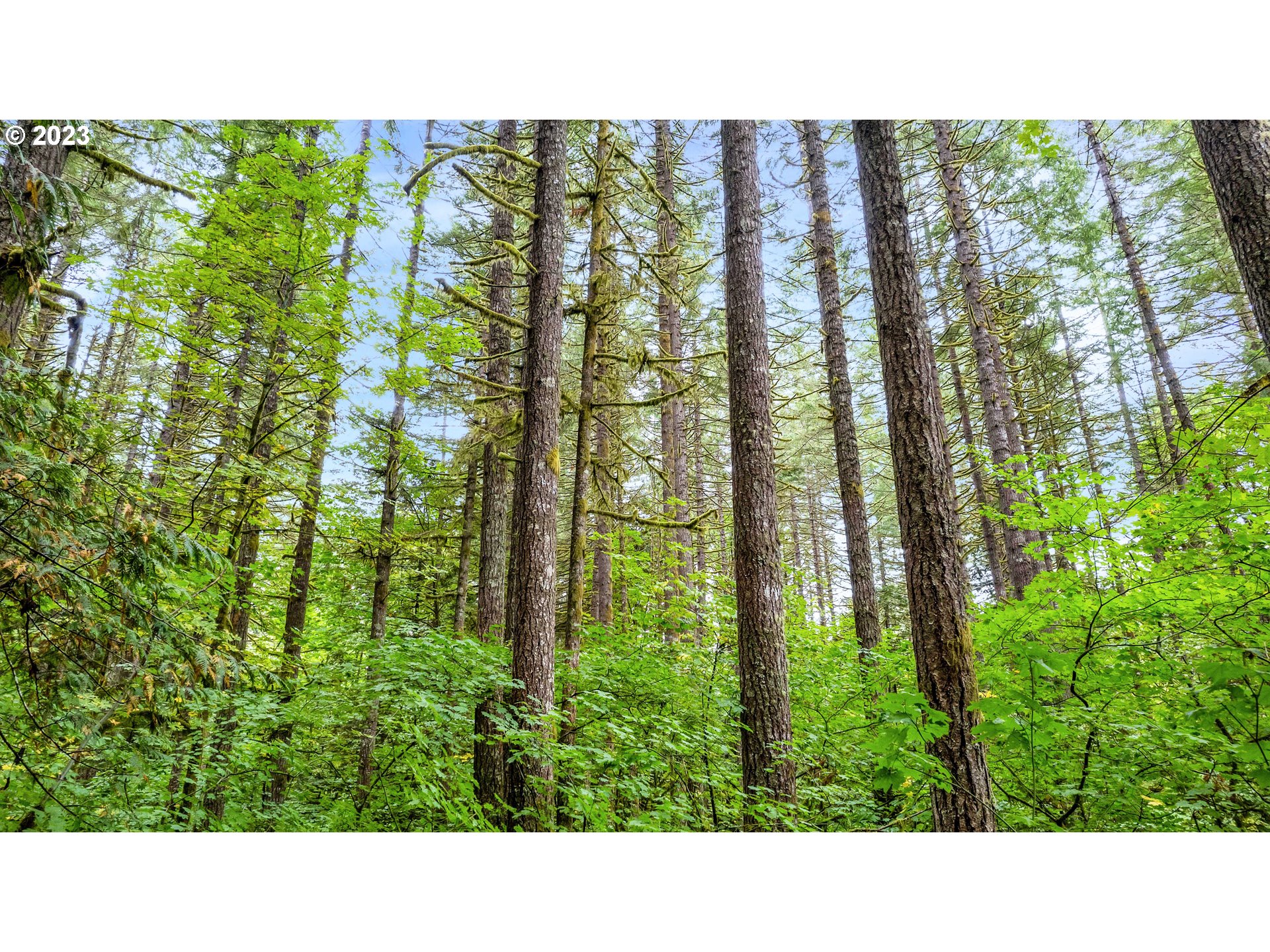 0 Northwest Green Mountain Road, Unit 1 Banks, OR 97106 - Photo 23 of 26
