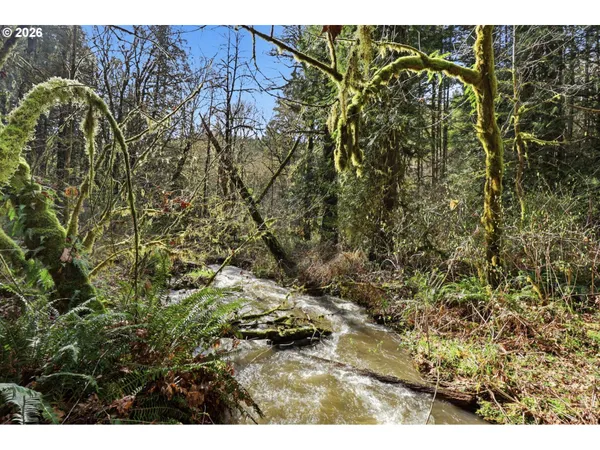 a open area with green field