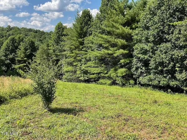 $59,900 | Lot # Laurel Way Mountain, Unit 55, Mountain City, TN 37683