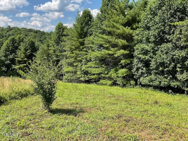 $65,000 | Lot # Laurel Way Mountain, Unit 55, Mountain City, TN 37683